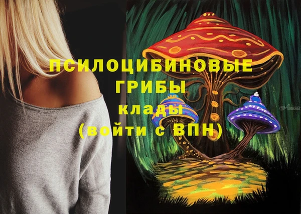прущий лед Арсеньев