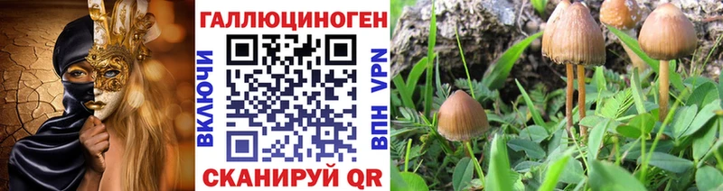 Галлюциногенные грибы мухоморы  купить   Калязин 